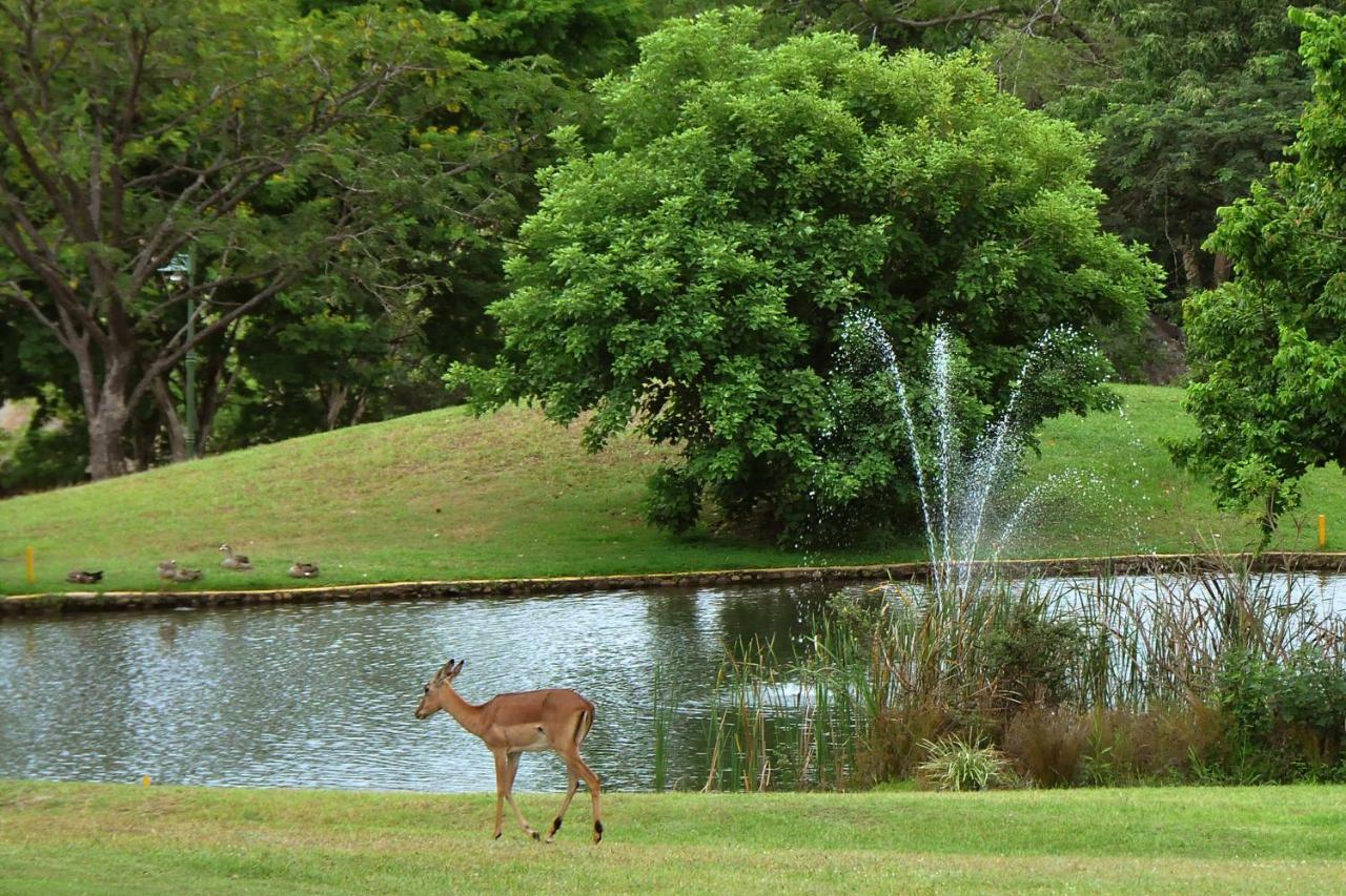 Kruger Park Lodge Unit No. 543 Hazyview Exteriér fotografie